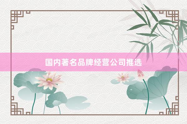国内著名品牌经营公司推选
