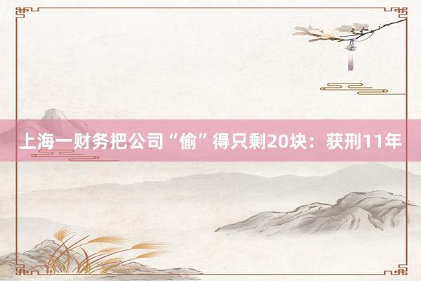上海一财务把公司“偷”得只剩20块：获刑11年