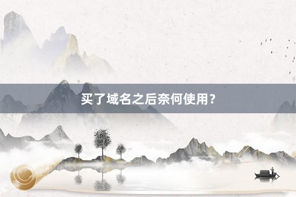 买了域名之后奈何使用？